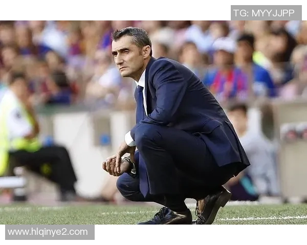 足球明星林志玲的传奇之路与她在绿茵场上的璀璨表现