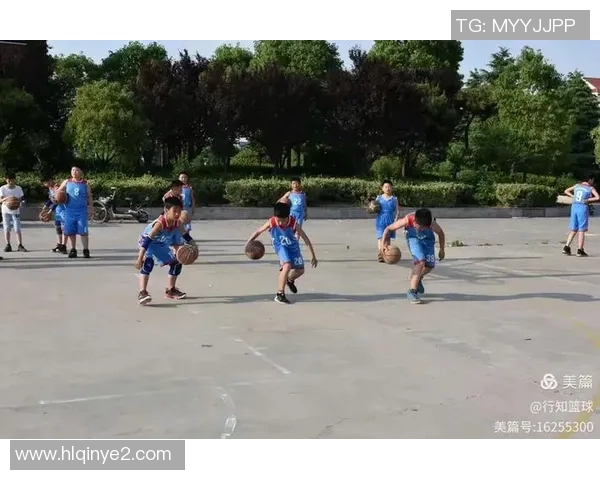 篮球明星灯箱点亮运动激情展现球场魅力与明星风采的完美结合